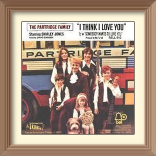 The Partridge Family